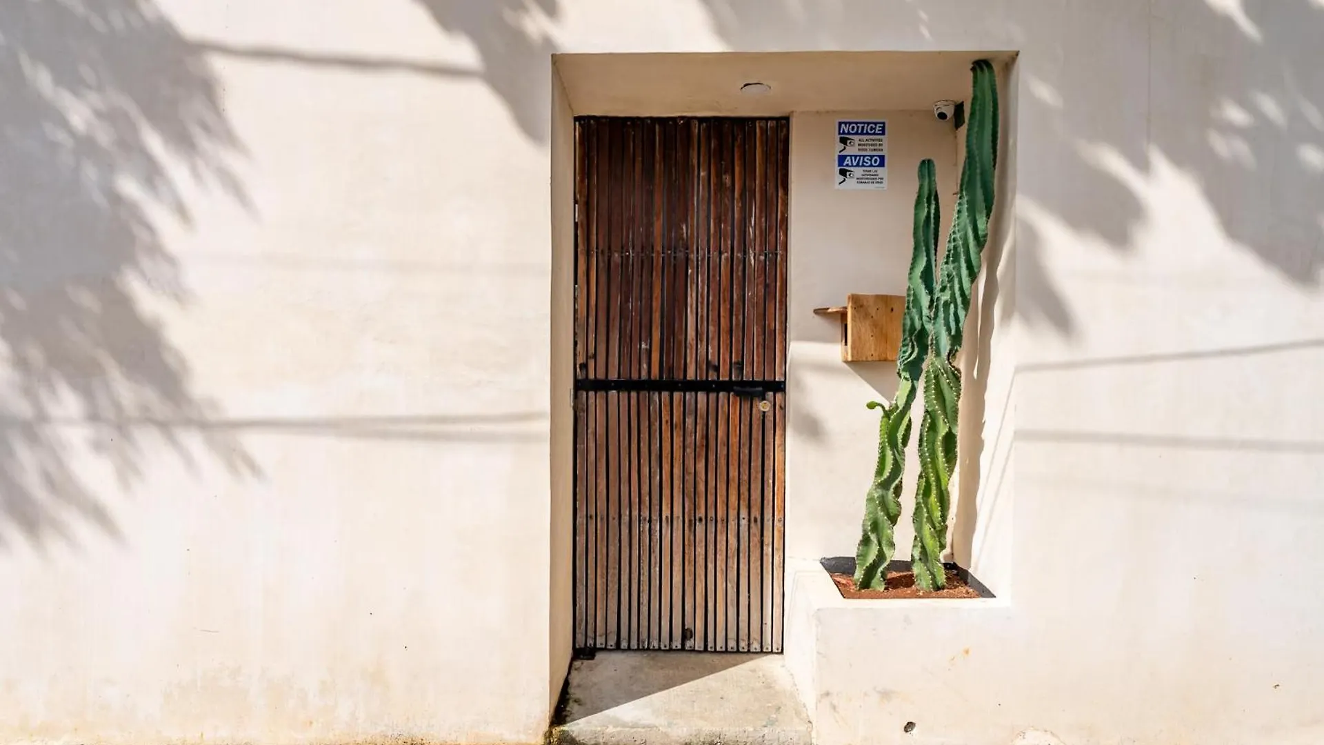 Casa Jicama Apartment Cancun