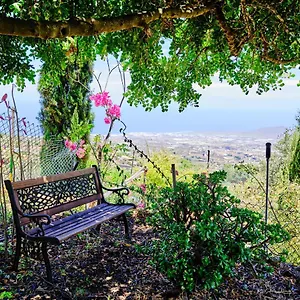 https://tizziri-rural.in-canary-islands.com